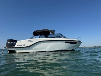 Silver Viper DcZ — Photo 2