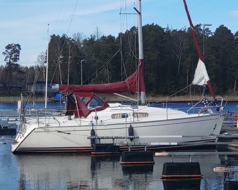 Delphia 29